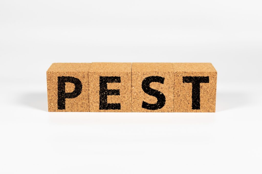 自動車業界のPEST分析を成功させるための3つの注意点・ポイント