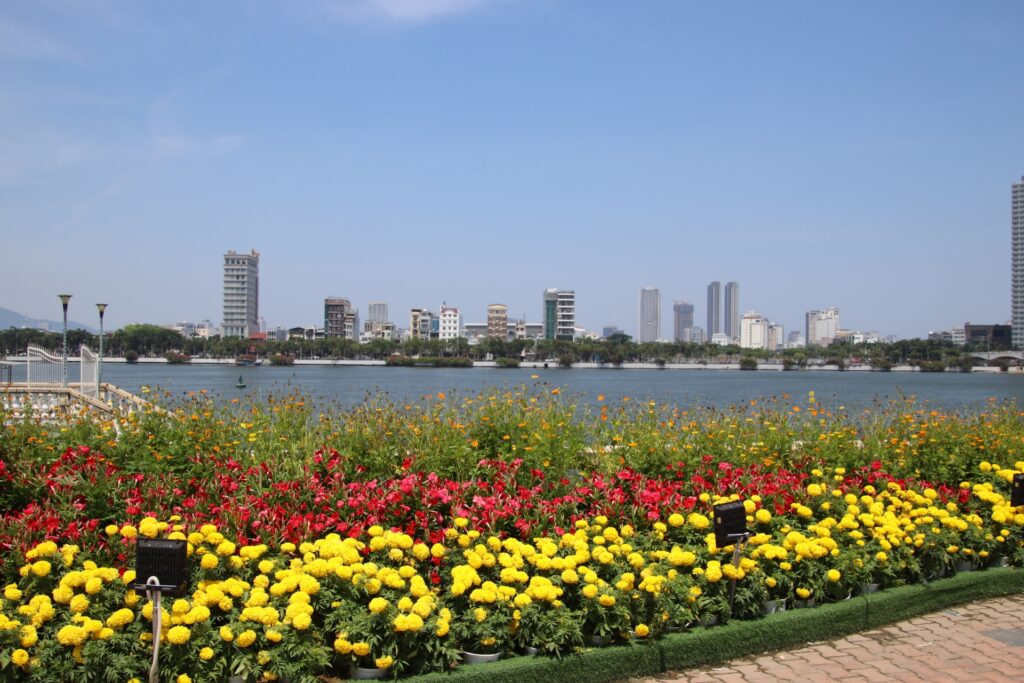 ベトナム進出支援ならAXIA Marketing